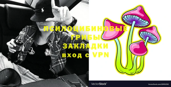 кокаин Белокуриха